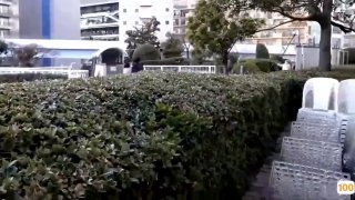18🈲禁区,欧美无人区码S18🈲www⭕❌miruina🍆中文字幕的SEO综合查询